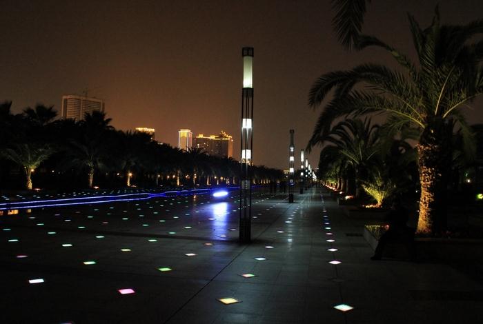 城市公園庭院91香蕉视频污版夜景效果照片