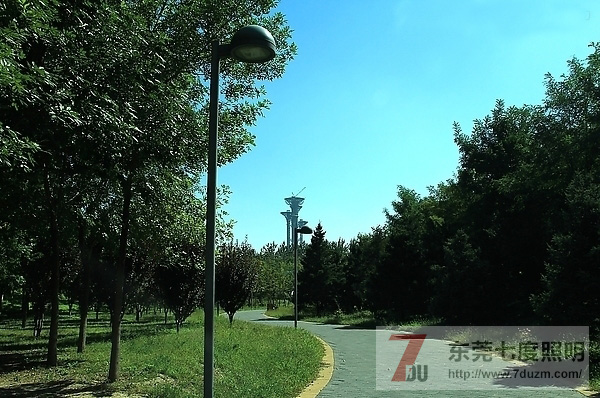 城市森林公園道路、步道照明設計原則