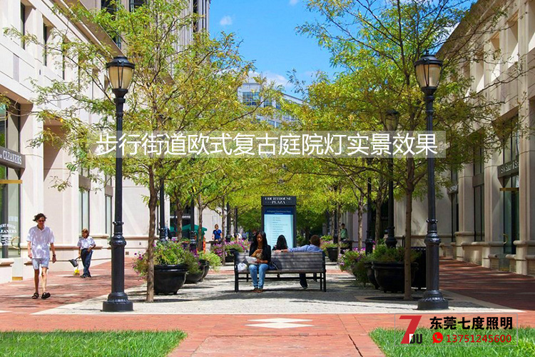 91香蕉下载导航照明-步行街道歐式複古庭院燈安裝實景效果圖片