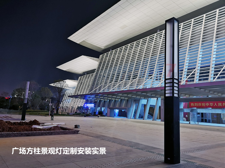 東莞市民服務中心廣場中軸定製91香蕉视频污版安裝實拍效果